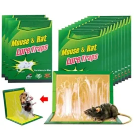 Mouse & Rat Lure Traps 12.8×8.27″ Card Board