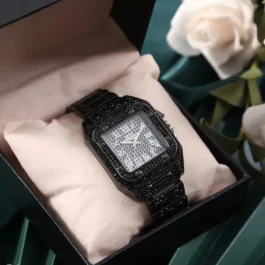 Diamond Stone Men’s Watch